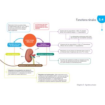 Diplôme Infirmier - IFSI - Cartes mentales - UE 2.2 - Cycles de la vie