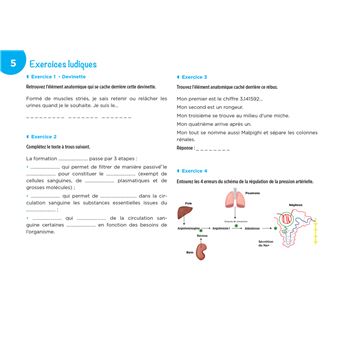 Diplôme Infirmier - IFSI - Cartes mentales - UE 2.2 - Cycles de la vie
