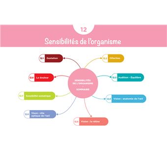 Diplôme Infirmier - IFSI - Cartes mentales - UE 2.2 - Cycles de la vie