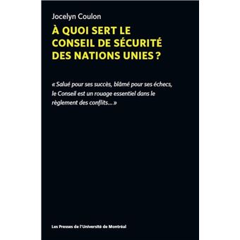 À quoi sert le Conseil de sécurité des Nations unies ?
