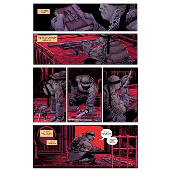 Les Tortues Ninja - TMNT : The Last Ronin