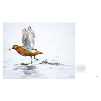 Grand Nord - Un monde à préserver