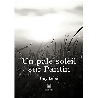 Un pâle soleil sur Pantin