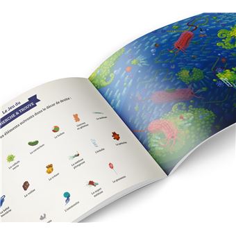 Apparition de la vie