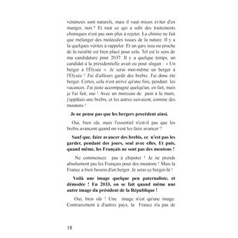 Élisez-moi à l'Élysée !