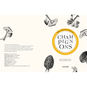Mon carnet nature : Champignons