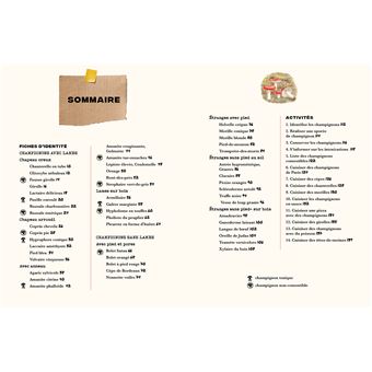 Mon carnet nature : Champignons