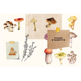 Mon carnet nature : Champignons