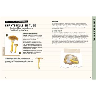 Mon carnet nature : Champignons