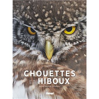 Chouettes et hiboux