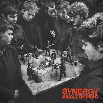 Synergy Cd Synergy - Jungle By Night - CD album - Achat & prix | fnac