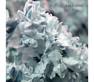 Pop ambient 2017