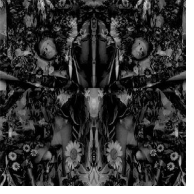 Songs of flowers and skin