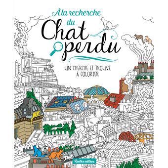 A La Recherche Du Chat Perdu Cartonne Olivia De Bona Achat Livre Fnac