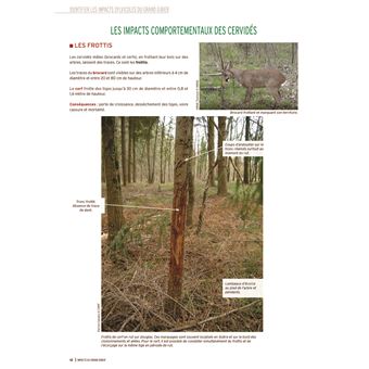 Impacts du grand gibier (2ème édition)