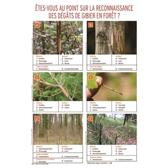 Impacts du grand gibier (2ème édition)