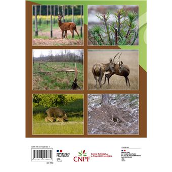 Impacts du grand gibier (2ème édition)