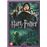 Harry PotterHARRY POTTER 4:GOBLET OF FIRE-FR_0