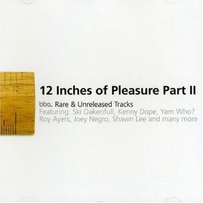 12 inches of pleasure