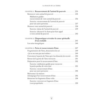 La Magie de la Terre - Empruntez la voie sacrée de la guérison chamanique