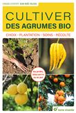 Cultiver des agrumes bio