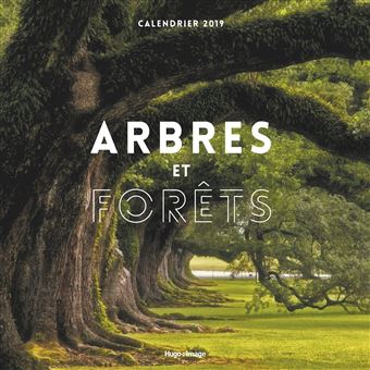 Calendrier mural arbres et forêts 2024 - broché - Collectif, Livre