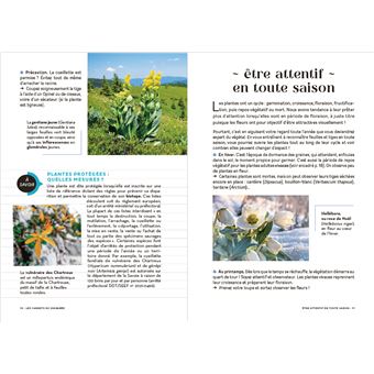 Les carnets du scarabée - Fleurs sauvages