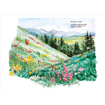 Les carnets du scarabée - Fleurs sauvages