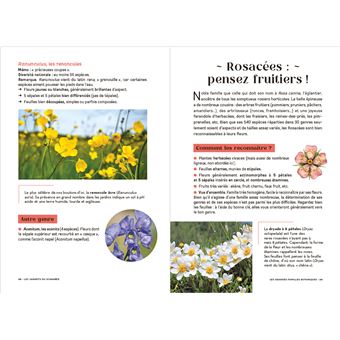 Les carnets du scarabée - Fleurs sauvages