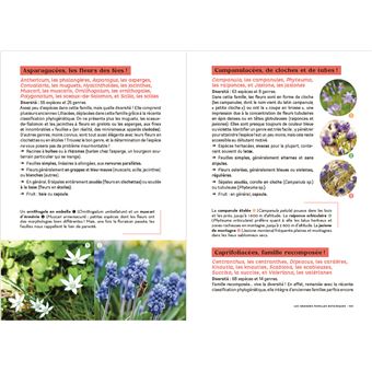 Les carnets du scarabée - Fleurs sauvages