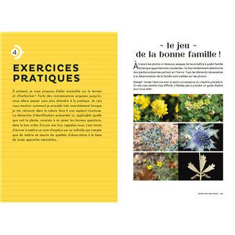 Les carnets du scarabée - Fleurs sauvages
