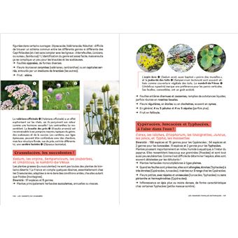 Les carnets du scarabée - Fleurs sauvages