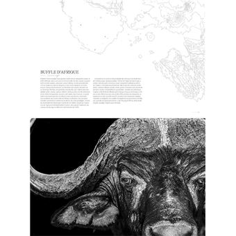 La sixième extinction