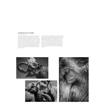 La sixième extinction