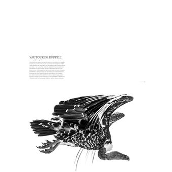 La sixième extinction