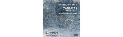 Cantatas BWV 146-103-33