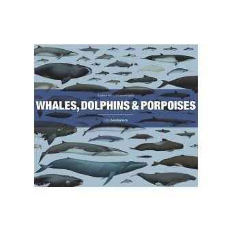 Whales, Dolphins And Porpoises A Natural History And Species Guide ...