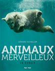 Animaux merveilleux en danger