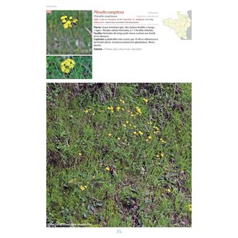 Flore du Massif Armoricain et ses marges