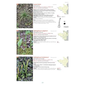 Flore du Massif Armoricain et ses marges