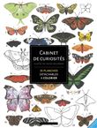 Cabinet de curiosités