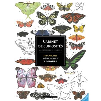 Cabinet de curiosités