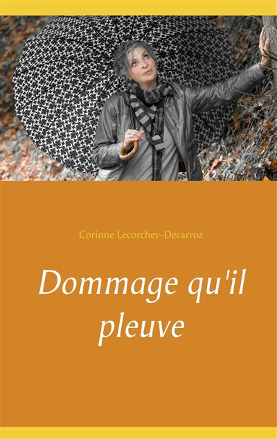 Dommage qu'il pleuve - Corinne Lecorchey-Decarroz - broché