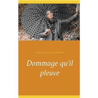 Dommage qu'il pleuve