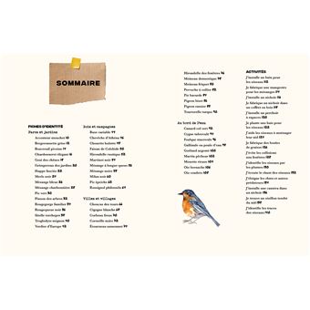 Mon carnet nature : Oiseaux