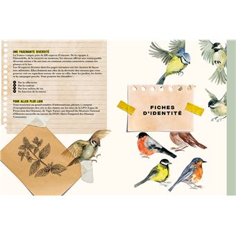 Mon carnet nature : Oiseaux