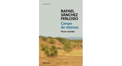 CAMPO DE RETAMAS