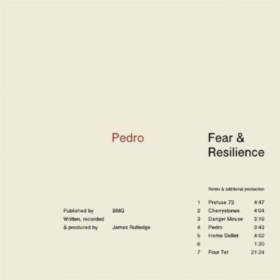 Fear and resilience remixes