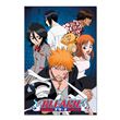 Poster Bleach