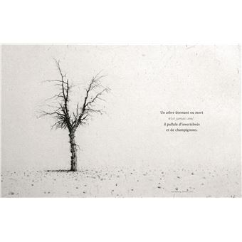 AR(T)BRES - Les arbres dans l'art
